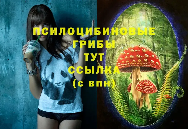 mega зеркало  Макушино  Псилоцибиновые грибы MAGIC MUSHROOMS 